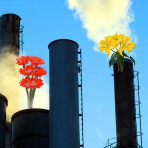 Un principio táctico básico: No nos enfrentemos al capitalismo