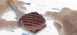 Hamburguesas: no son lo que parecen (Estudio de la OCU)