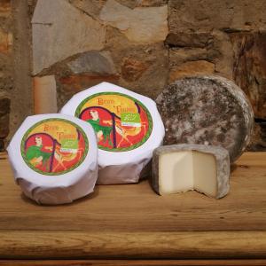 QUESO ECOLÓGICO BEATO DE TÁBARA 